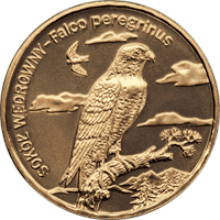 2 злотых Сокол-Сапсан 2008 г. UNC